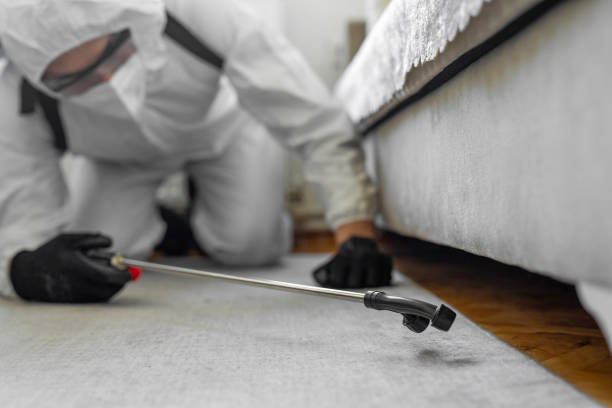 Professional Cockroach Control technician working in Bellview, FL