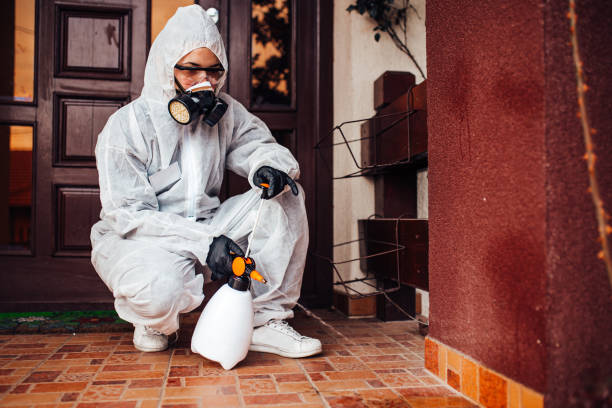 Reliable Cockroach Control contractor in Bellview, FL by Nex Pest Control